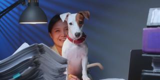 亚洲女主人和她的狗在家里加班。杰克罗素梗有趣的工作区域