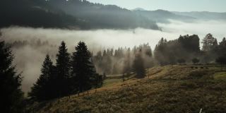 云在树林上翻滚。灵感的旅游目的地概念。在喀尔巴阡山脉，夏季或秋季国家公园，保护区，雾，深和野生的绿色松林史诗般的镜头
