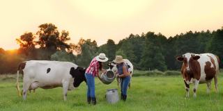 牛奶新鲜。在绿色的草地上，两名女农民正在往牛奶罐里倒新鲜牛奶，背景是奶牛。挤奶。奶牛场。乳制品。农业