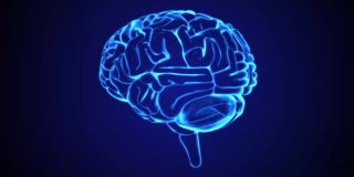 蓝色的人类大脑