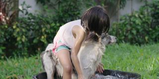 女孩(6-7岁)在后院给她的狗洗澡。