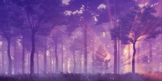 神奇的萤火虫灯光在神秘的夜森林3D动画