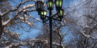 蓝蓝的天空下闪烁着绿光的街灯，黑色的树枝覆盖着雪花的剪影，街灯柱带有十字结构