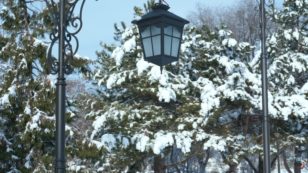 雪天公园的街灯。