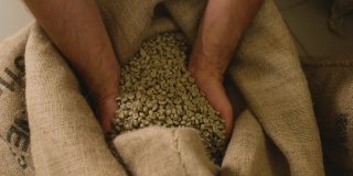 农夫手里拿着一袋咖啡豆，检查收成