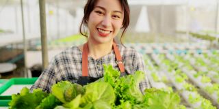 漂亮的年轻亚洲女人工作在温室在她的农场。微笑的年轻英俊的白人男性农民在围裙持有和检查有机农场的质量。农民携带蔬菜盒绿色沙拉
