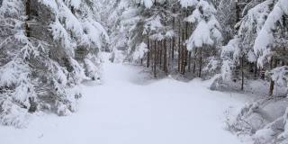 在冬天下雪的森林里，树木被雪覆盖着。跟踪框架