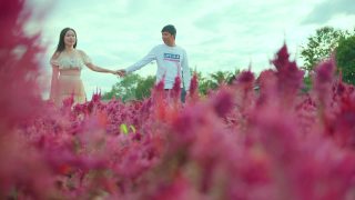 年轻的情侣，迷人的亚洲人，穿着休闲装，牵手，拥抱，带着积极的情绪沿着红色美丽的花朵自然农场一起走，幸福的旅行理念视频素材模板下载