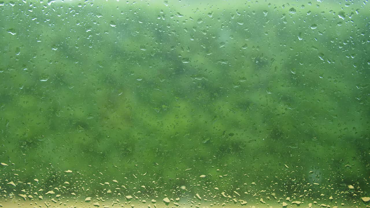 雨季玻璃上的水滴特写，散焦的雨水落在绿色的自然背景上
