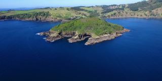 新西兰奥克兰山羊岛海洋保护区