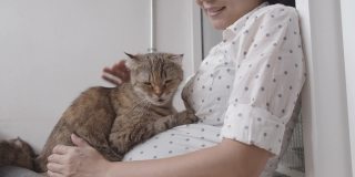 亚洲孕妇坐在腿边，抚摸一只可爱的猫