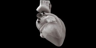 黑色背景上的心脏模型