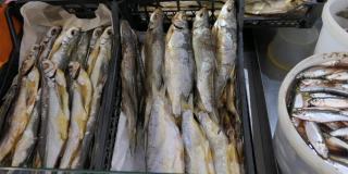 海鲜市场的鲜鱼，传统市场的鱼。海鲜街市场陈列柜内的新鲜海鱼。