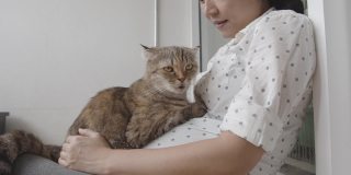 亚洲孕妇坐在腿边，抚摸一只可爱的猫