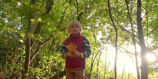 一个小男孩在阳光明媚的秋天漫步在森林里。孩子在玩枫叶。婴儿把树叶扔了起来。和家人一起享受大自然。和小孩子一起徒步旅行。