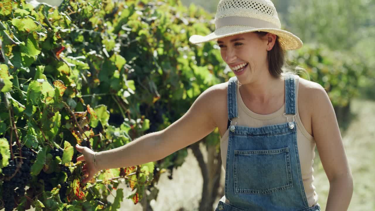 一段4k视频记录了一位年轻的女农民穿过葡萄园用手抚摸着葡萄藤