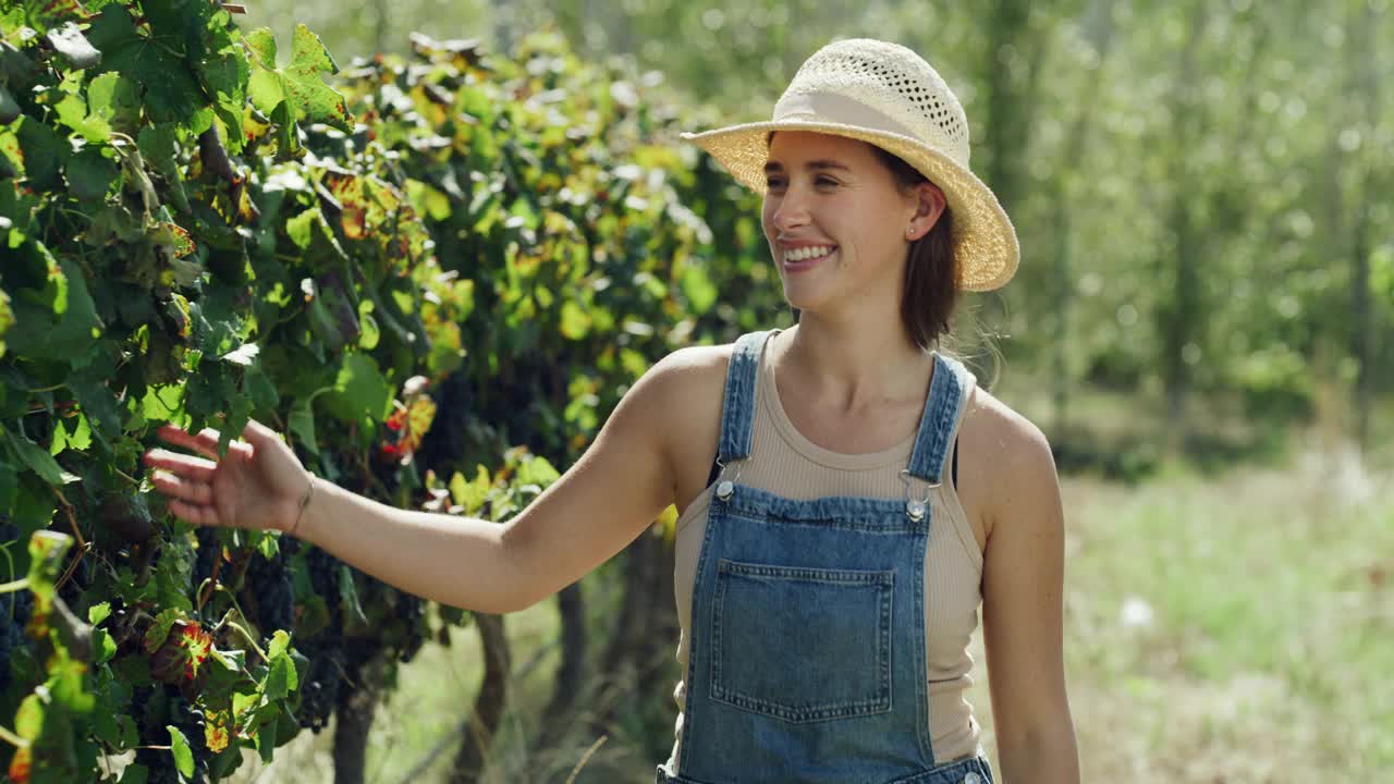 一段4k视频记录了一位年轻的女农民穿过葡萄园用手抚摸着葡萄藤