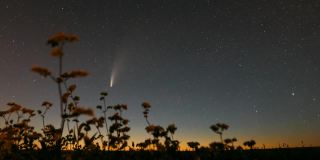 彗星Neowise C 2020 F3在开花荞麦上方的星空。夜星全高清延时超延时超延时，运动
