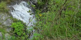 西林戈瀑布，西拉拉希村，北苏门答腊岛，印度尼西亚，瀑布的美丽与新鲜的绿色背景