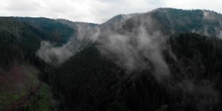 神奇的鸟瞰图。在美丽的雾中飞过高山。航空摄影机镜头。空中的云。雾。蒸汽。