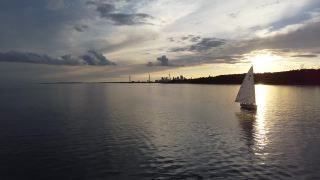 安大略湖上的帆船，背景是多伦多市中心视频素材模板下载