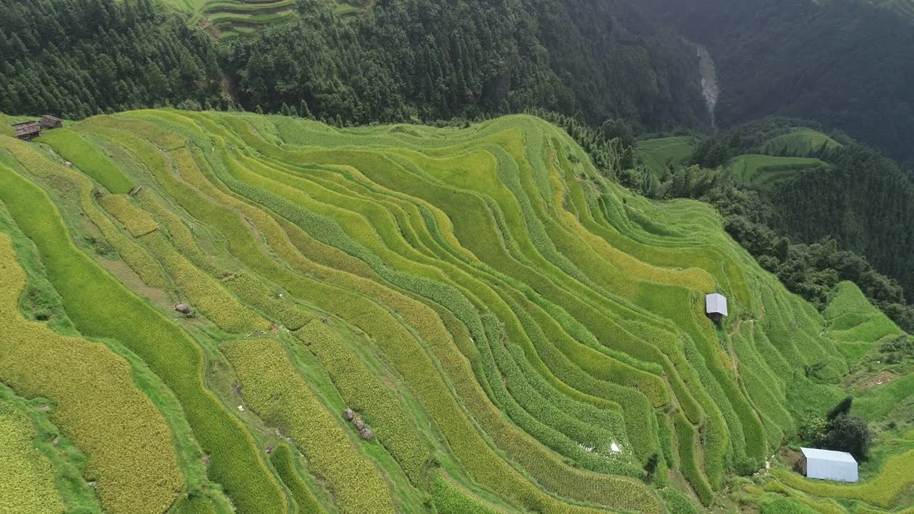 无人机飞过中国美丽的梯田
