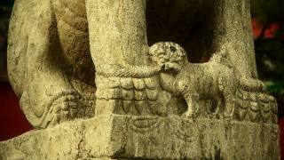 庙里石狮，历史古迹。视频素材模板下载