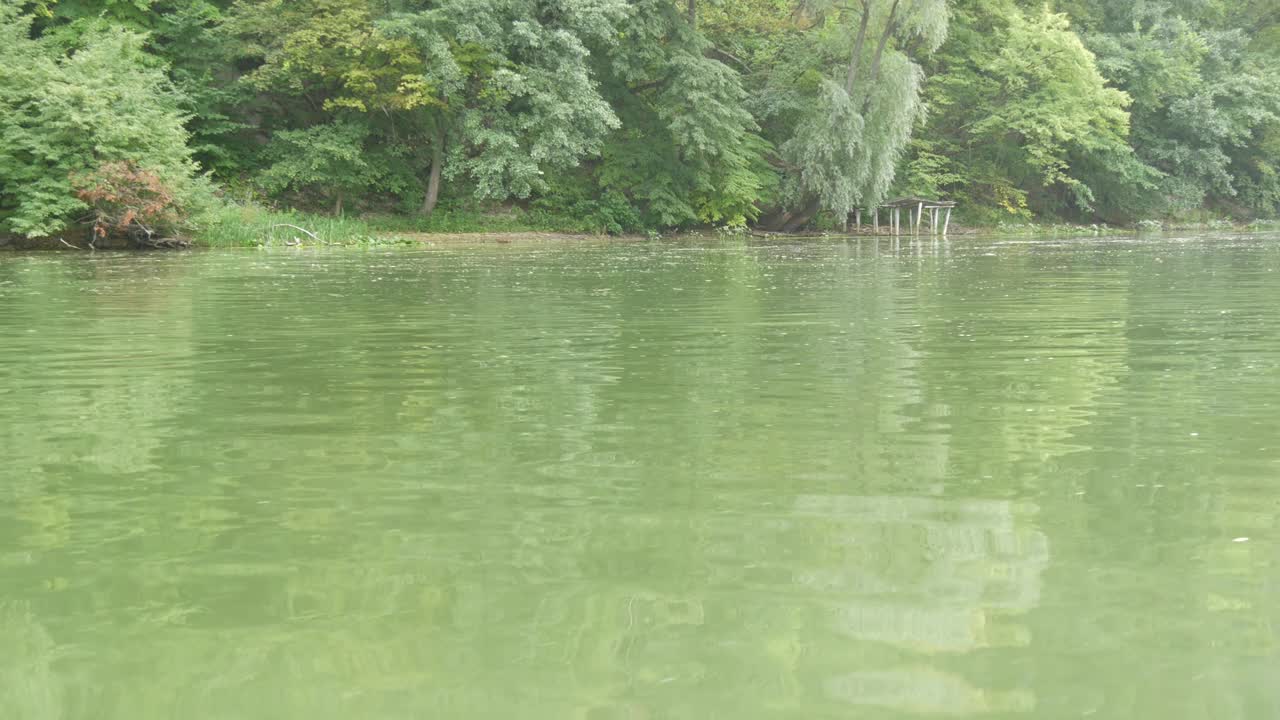 沿着绿色的河流走，河岸上生长着美丽的茂密的树木。从运动中的游船上看