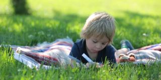 可爱的幼儿，金发男孩，在公园里玩放大镜，在图画书里画画