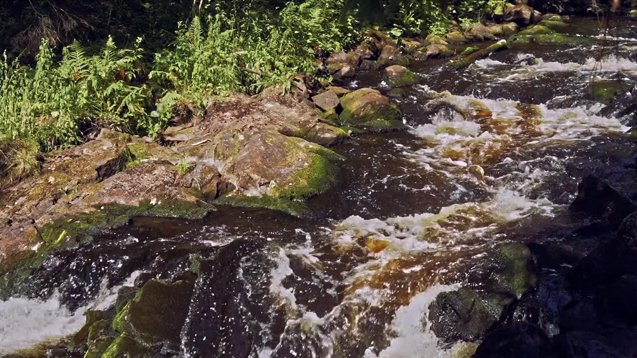 森林里湍急的小山河和瀑布