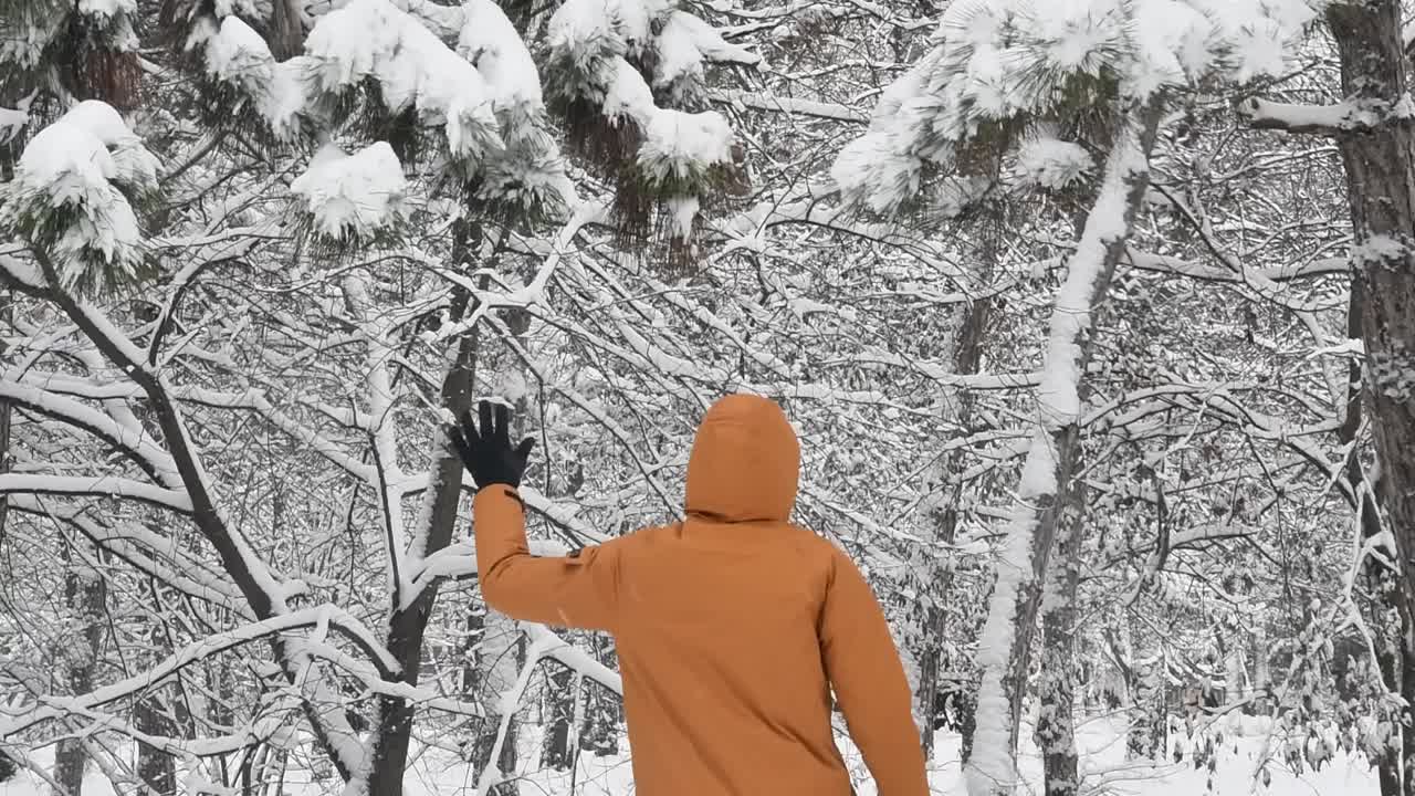 不认识的人跳着拉着松树树枝，落了雪