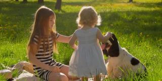 两个可爱的小女孩和一只西班牙猎犬在草坪上玩耍