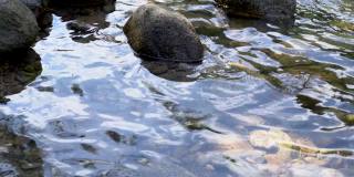 清澈的水从乔洛山谷的岩石溪流中流过