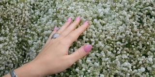 一个女人的手涂着漂亮的指甲，戴着银饰，触摸着可爱的小白花。有许多微型花的花束
