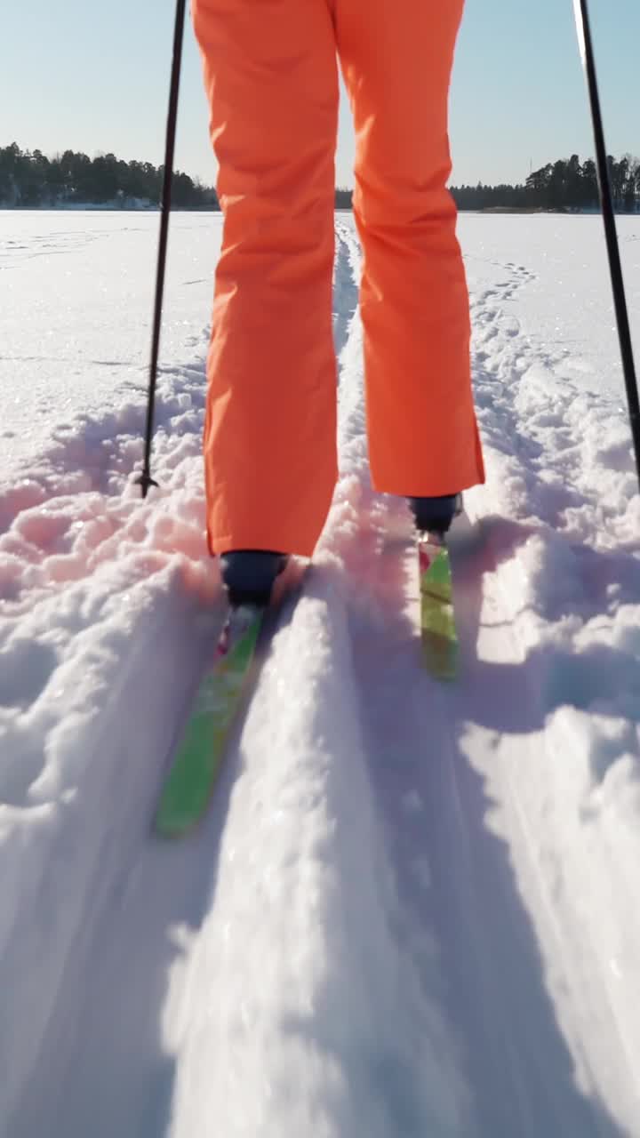 一个女人在一个寒冷的阳光灿烂的日子在冰冻的森林里进行越野滑雪
