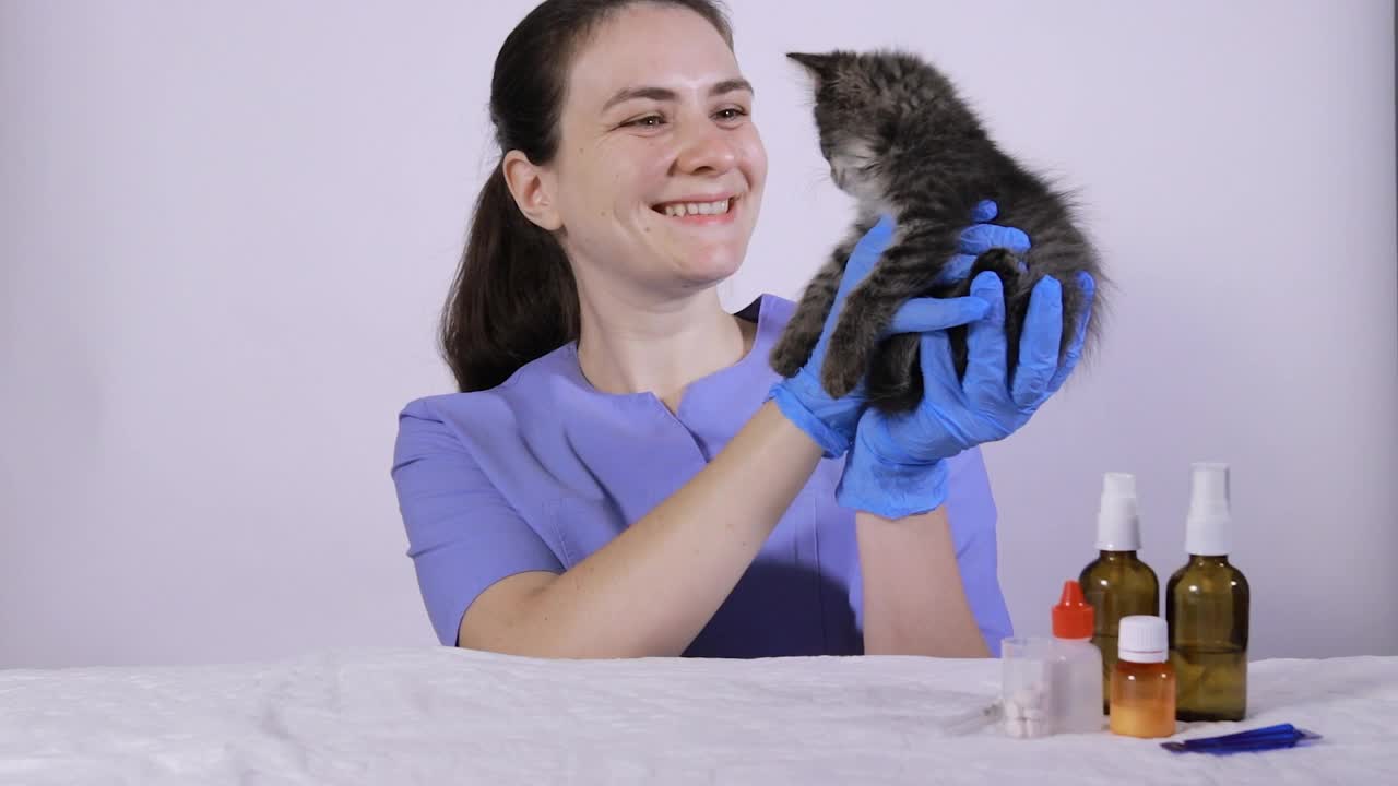 一位身穿蓝色制服的女兽医抱着一只灰色的小猫，微笑着对一只生病的猫说话。