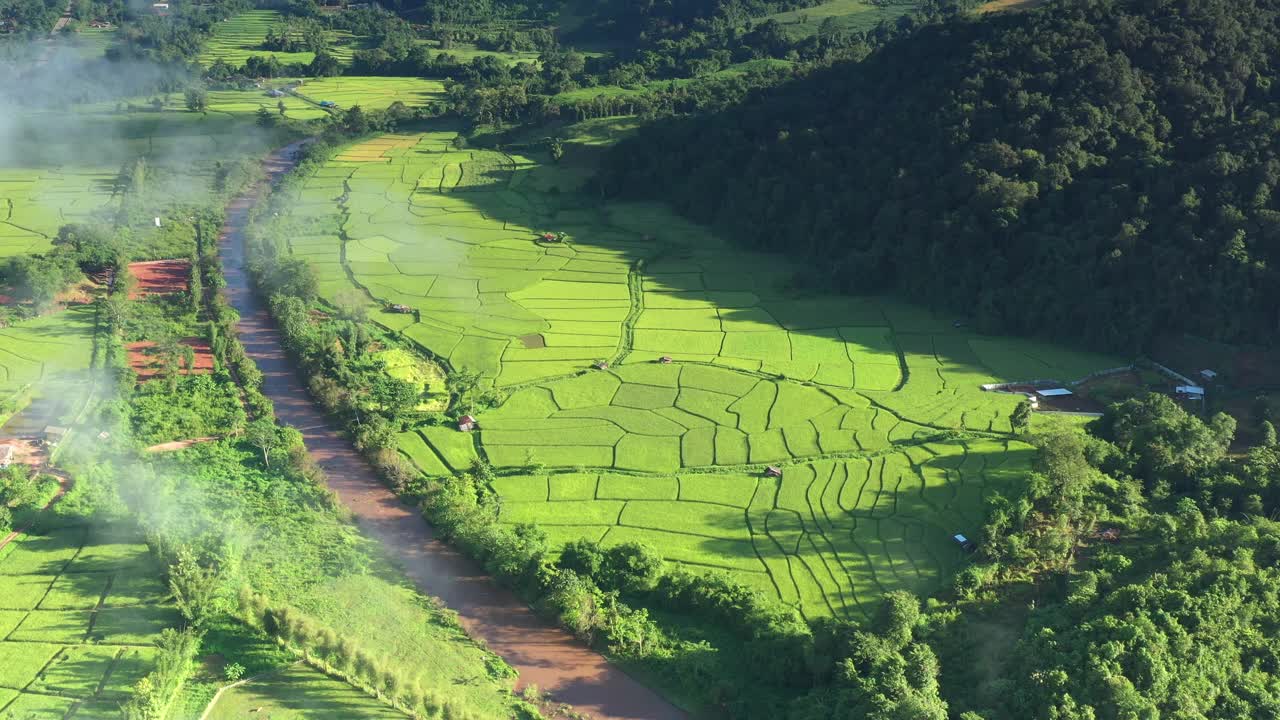 在一个美丽的山谷里，鸟瞰一大片稻田。泰国北部农业区