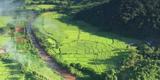 在一个美丽的山谷里，鸟瞰一大片稻田。泰国北部农业区