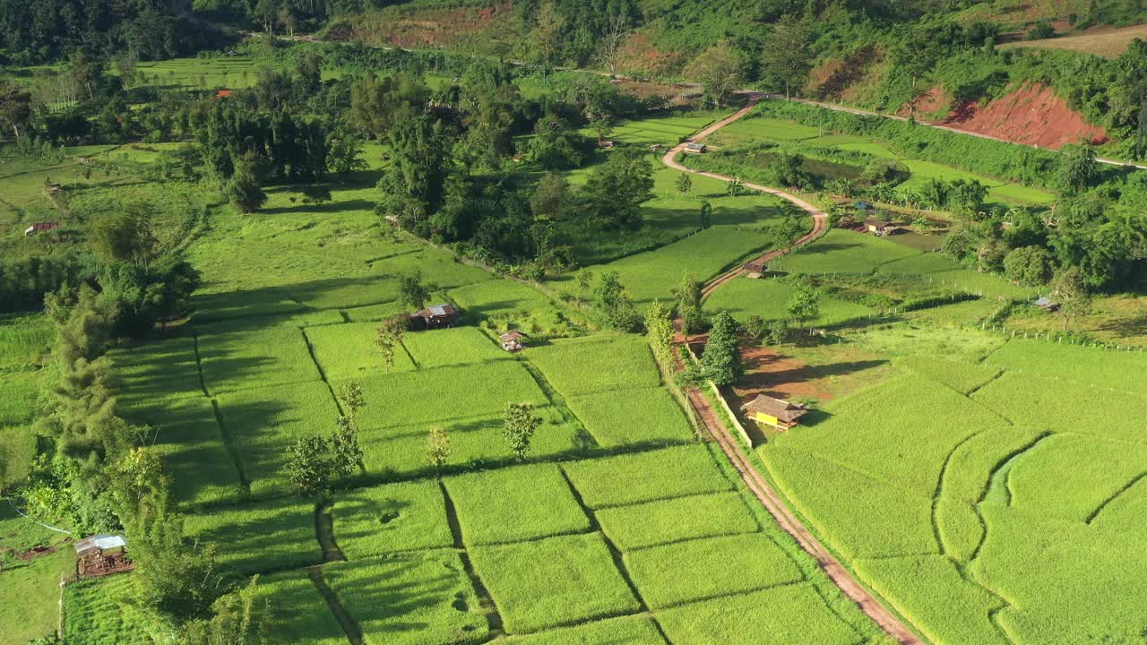 在一个美丽的山谷里，鸟瞰一大片稻田。泰国北部农业区