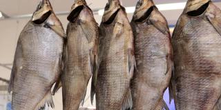 鱼干在鱼海鲜传统街市展柜。挪威传统鲟鱼户外干燥。市场上的干腌鱼干。