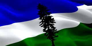 卡斯卡迪亚旗帜视频在风中飘扬。现实的南俄勒冈和北加利福尼亚独立旗帜背景。Cascadia旗帜循环特写1080p全高清1920X1080镜头。卡斯卡迪亚美国国家旗帜的录像为电影，新闻