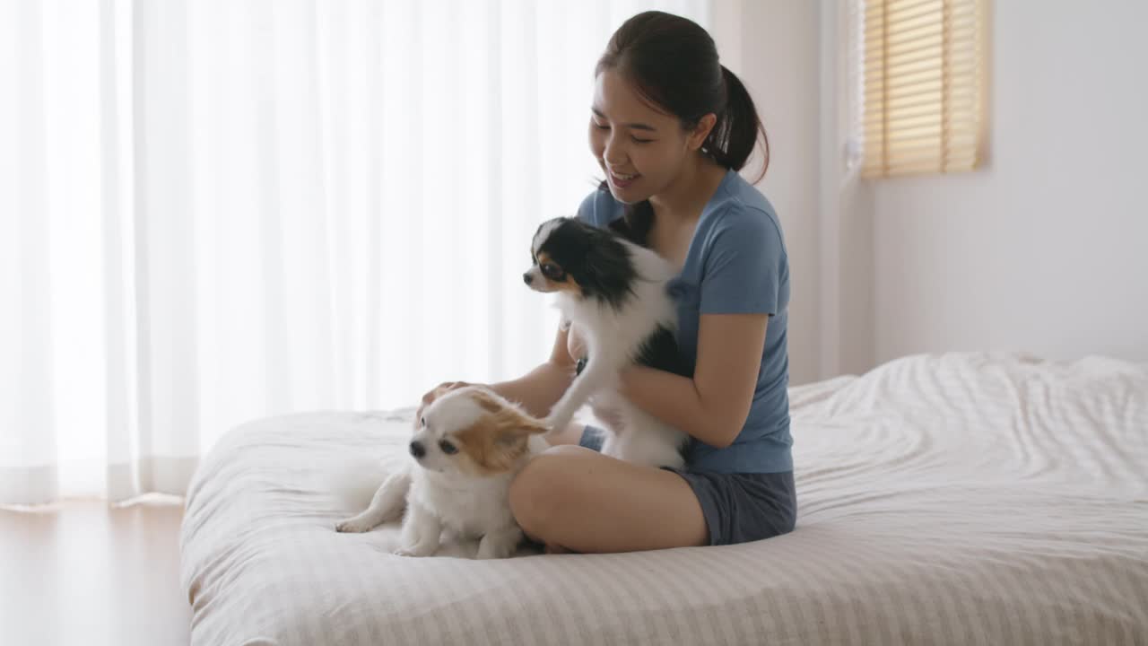 亚洲宠物主人放松玩可爱的狗在公寓早上的床上。