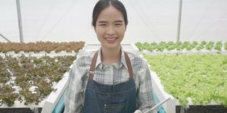 在温室里种植绿色沙拉和蔬菜。园丁们精心照料有机蔬菜。一位亚洲女园丁走在菜地里。