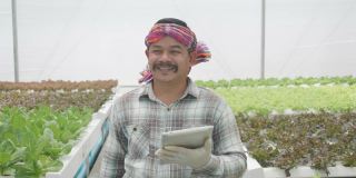 在温室里种植绿色沙拉和蔬菜的水培法。园丁们精心照料有机蔬菜。一个亚洲男人在菜地里散步。