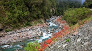 新西兰南岛的奥提拉溪谷视频素材模板下载