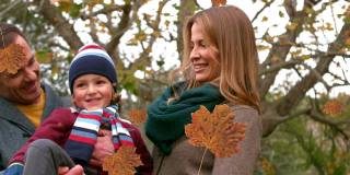 桔子的动画秋天的叶子落在快乐的高加索家庭在公园