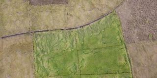 鸟瞰图绿色的稻田在新西兰，Khagrachari，孟加拉国