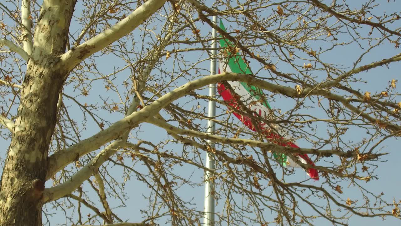 4K伊朗德黑兰的一棵秋树后面的伊朗国旗的电影长镜头