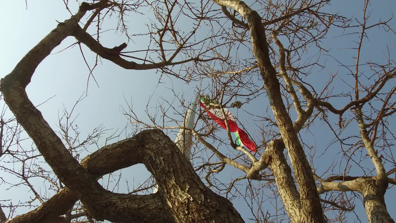 4K伊朗德黑兰的一棵秋树后面的伊朗国旗的电影长镜头