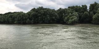 树木区域多瑙河弯曲匈牙利欧洲慢动作